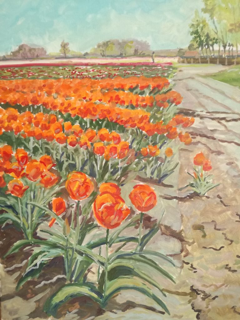 Tulpen in Ooltgensplaat